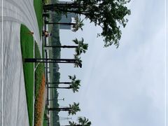 -金沙湖公园