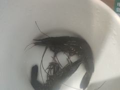 -养牛邓·潮汕牛肉海鲜自助火锅(广州店)