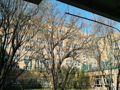 -北京八中游泳馆