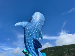 -珠海长隆海洋王国
