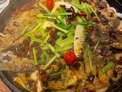 -老板恋上鱼(恒隆广场店)