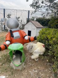 -造物庄园 萌宠纪(苏州湾歌林公园店)