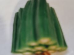 -香山湖渔家大院