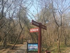 -大蜀山国家森林公园