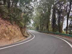 -佛山市三水区大南山森林公园