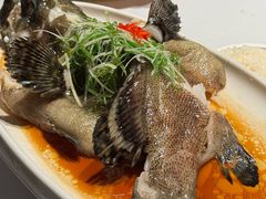 -YAFEE雅菲·粤菜·湘菜·融合菜(魏公村店)