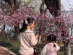 -金鸡湖桃花岛