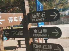 -阳台山自然风景区