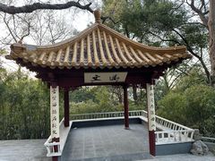 -北极阁公园