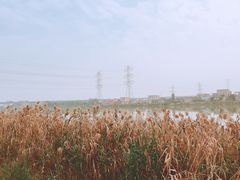 -低涌(地铁站)