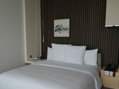 -上海柏悦酒店