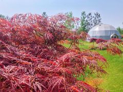 -南通洲际绿博园