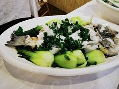 香葱灼鲈鱼-廣味潮鲜·一品潮滋味(五道口店)