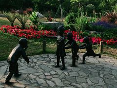 -东莞植物园