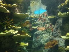 -福州罗源湾海洋世界旅游区