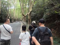 -紫金山山顶公园