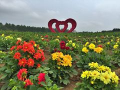 iphone_upload_pic-北纬44度·金珠花海休闲农业旅游景区