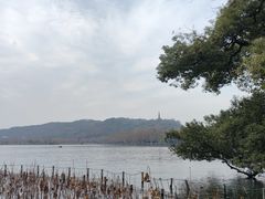 -湖畔居茶楼(湖滨店)