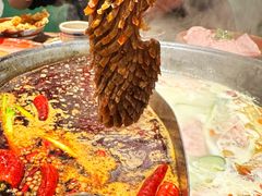 -周小明火锅(黑金冠社区店)