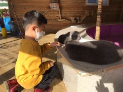 -萌宠亲子动物乐园(槐房万达店)