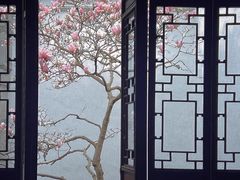 -耦园