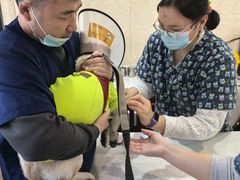 -思琪宠物医院(昆山花桥店)