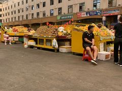 -三亚新鸿港水果一级批发市场