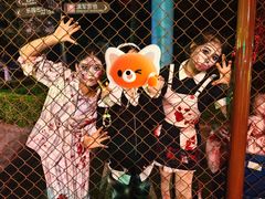 -七彩云南欢乐世界