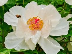 -燕郊植物园