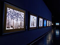 -罗红摄影艺术馆