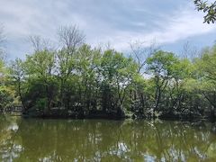 -上海滨江森林公园