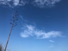 -爱丽丝牛排西餐厅(光谷步行街店)