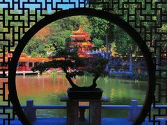 -深圳仙湖植物园