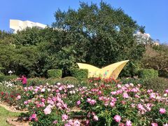 -人民公园(罗湖区)