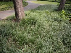 -重庆鸡公煲·青锅花椒鱼(牡丹江路店)