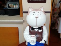 -猫咪博物馆(顶澳仔猫街店)