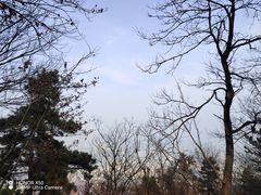 -惠山国家森林公园