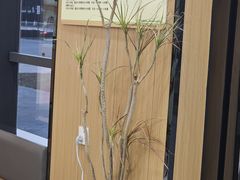 -半岛宠物医院24小时·内窥镜·牙科·碎石中心(府城大道店)