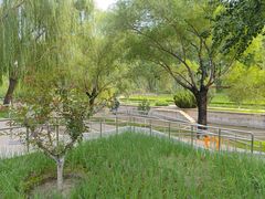 -元大都城垣遗址公园