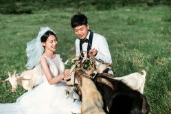 点击看大图 -雨墨婚纱摄影工作室