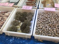 -友鹏海鲜(新宜白大道店)