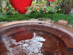 -剑河仰阿莎温泉小镇