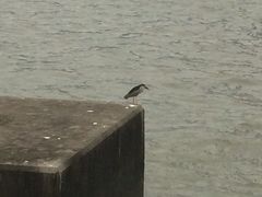 -上海市外滩历史纪念馆