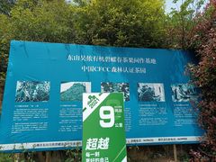 -东山风景区(洞庭东山)