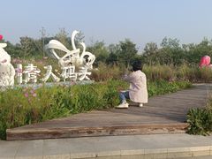 -东郊湿地公园