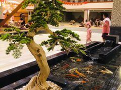 -天沐温泉(抚顺店)
