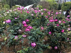 -人民公园(罗湖区)