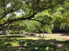 -江心屿景区