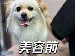 -FAELING PETS美天灵宠物(富力广场店)