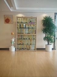 -维倪月子会所(独栋庭院·南海店)